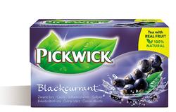 Pickwick Blackcurrant 12x20