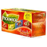 Variété de thé aux fruits rouges de Pickwick (fraise, citron, baies forestières, tropical)